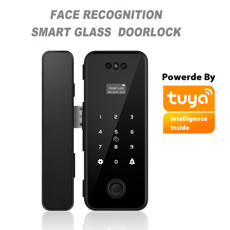 Aluminum ABS Tuya Smart Lock Face Recognition Fingerprint Frameless Glass Door Lock