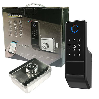 Keyless Biometric Fingerprint Recognition Tuya Smart Lock With CE FCC Certificate