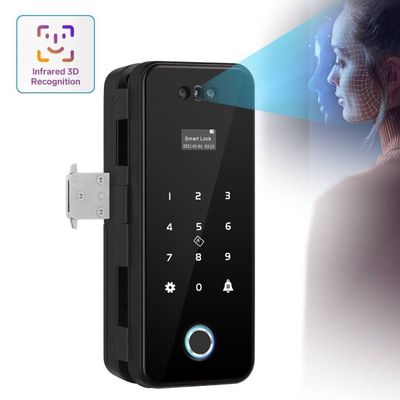 Aluminum ABS Tuya Smart Lock Face Recognition Fingerprint Frameless Glass Door Lock