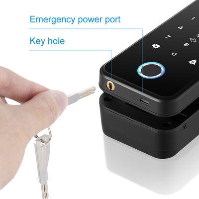 Aluminum ABS Tuya Smart Lock Face Recognition Fingerprint Frameless Glass Door Lock